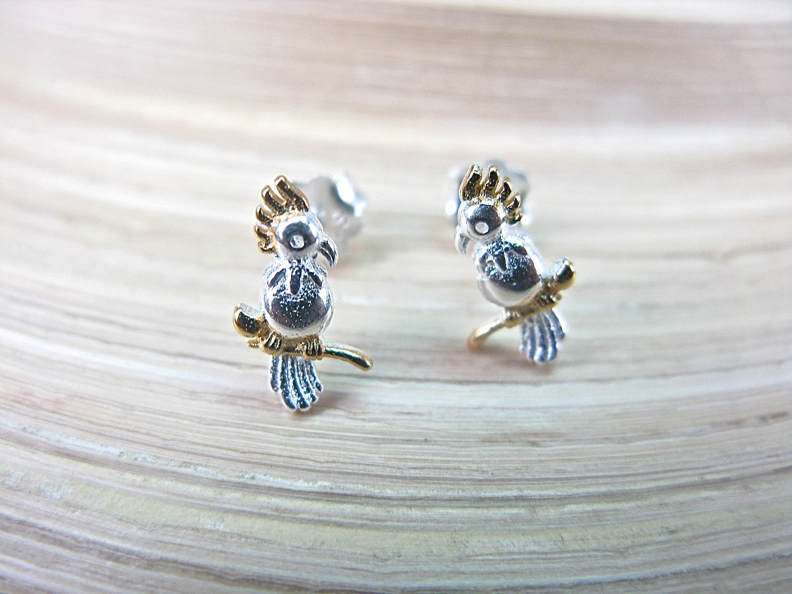 Parrot Stud Earrings in 925 Sterling Silver Stud Faith Owl - Faith Owl